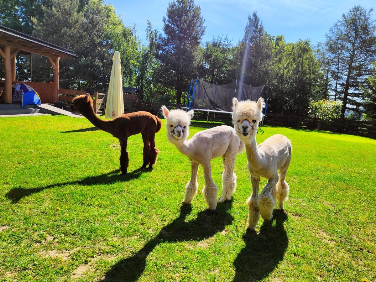 Domek Na Slonecznikowej Chmielno Exterior foto