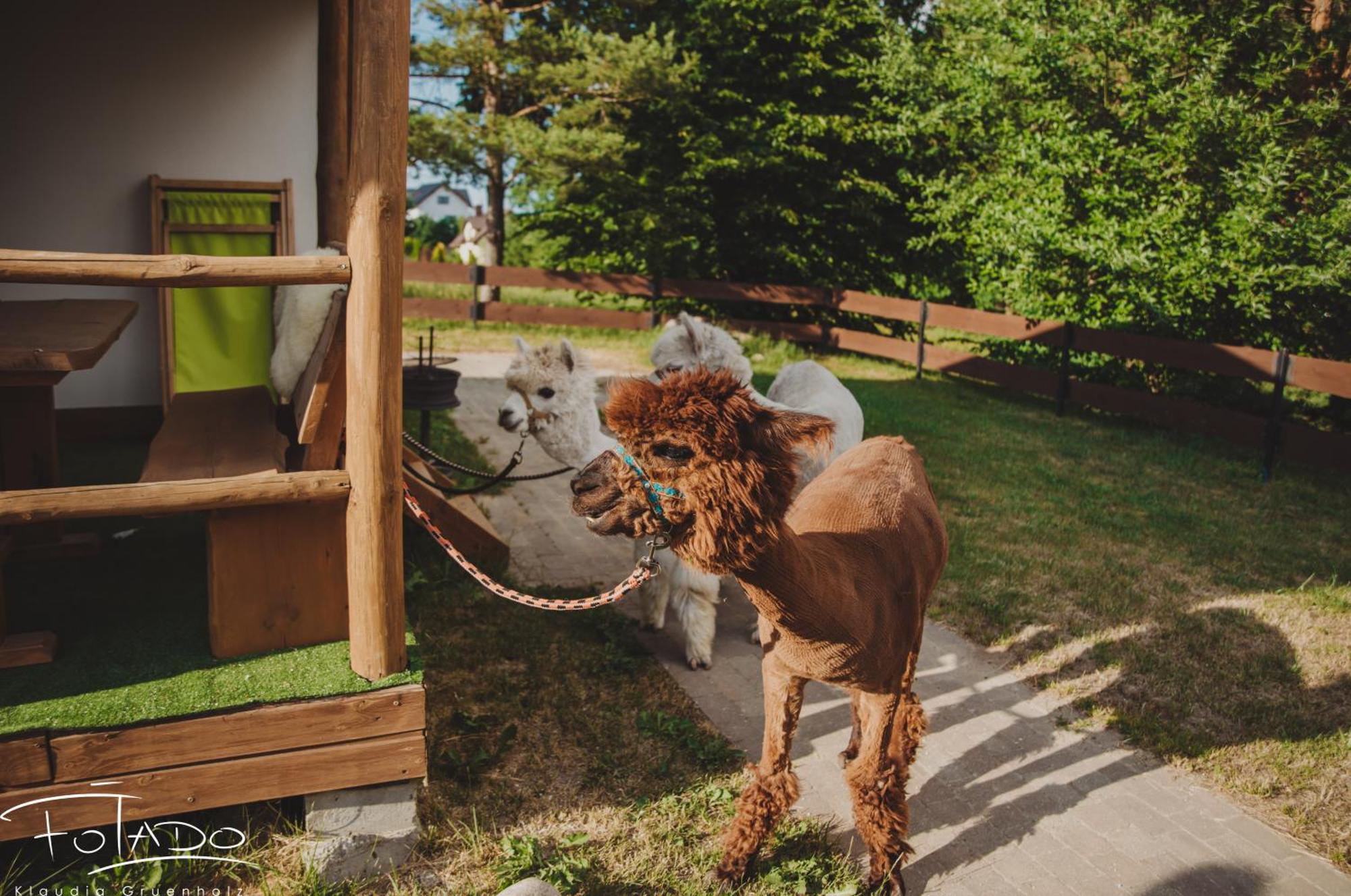 Domek Na Slonecznikowej Chmielno Exterior foto